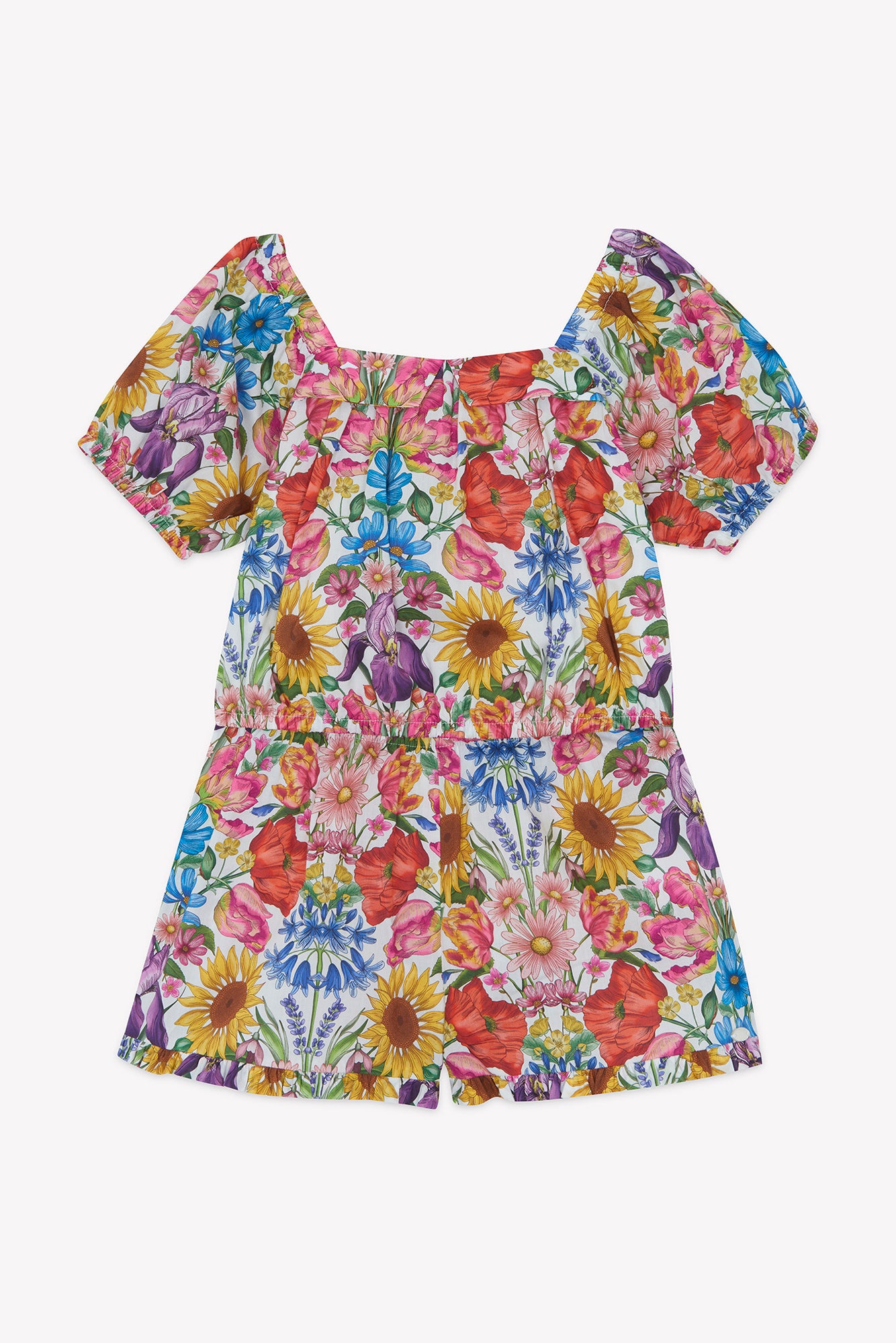 Esemblecourta Multicolore