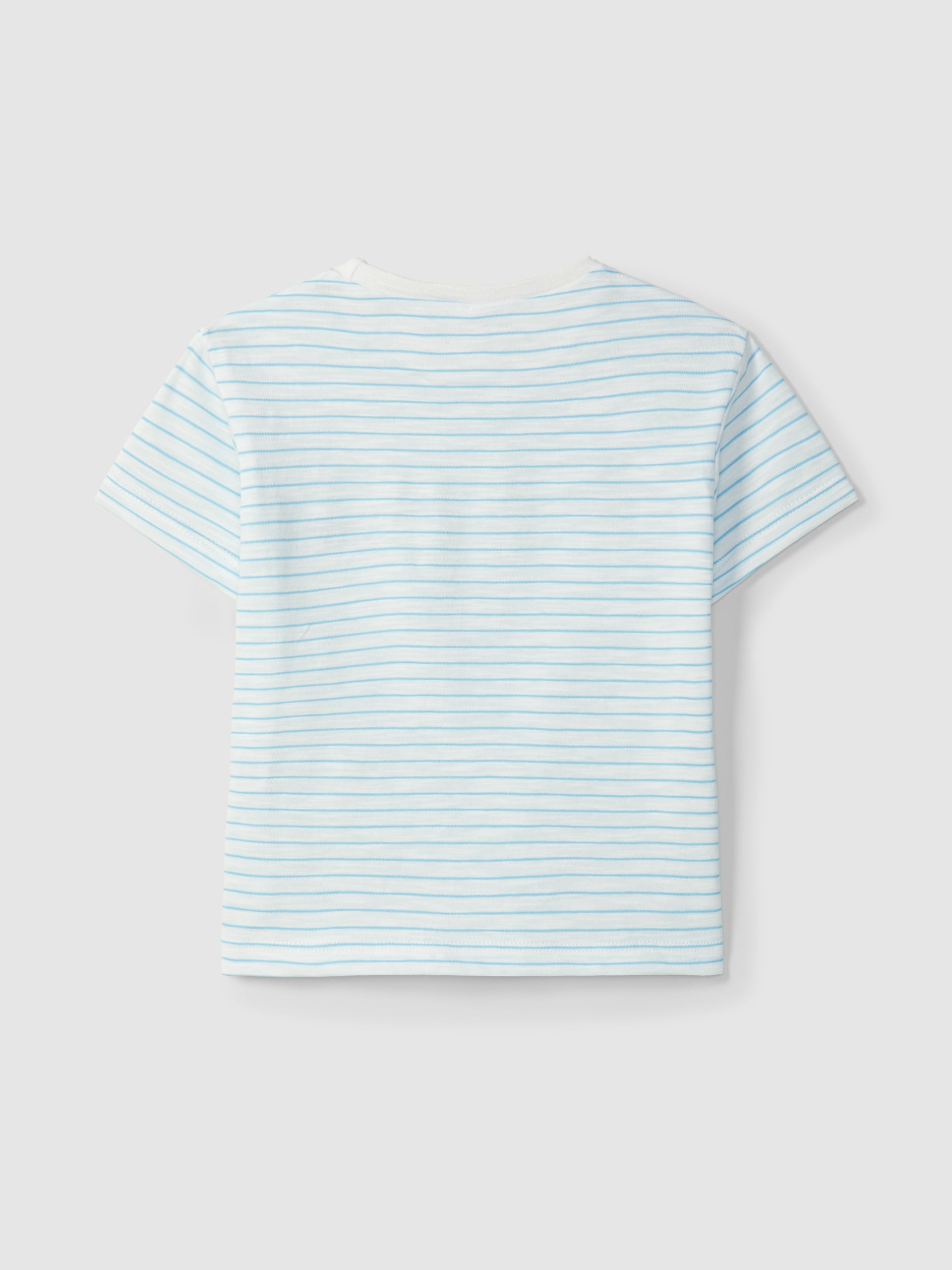 Baby Striped T-shirt with embroidery